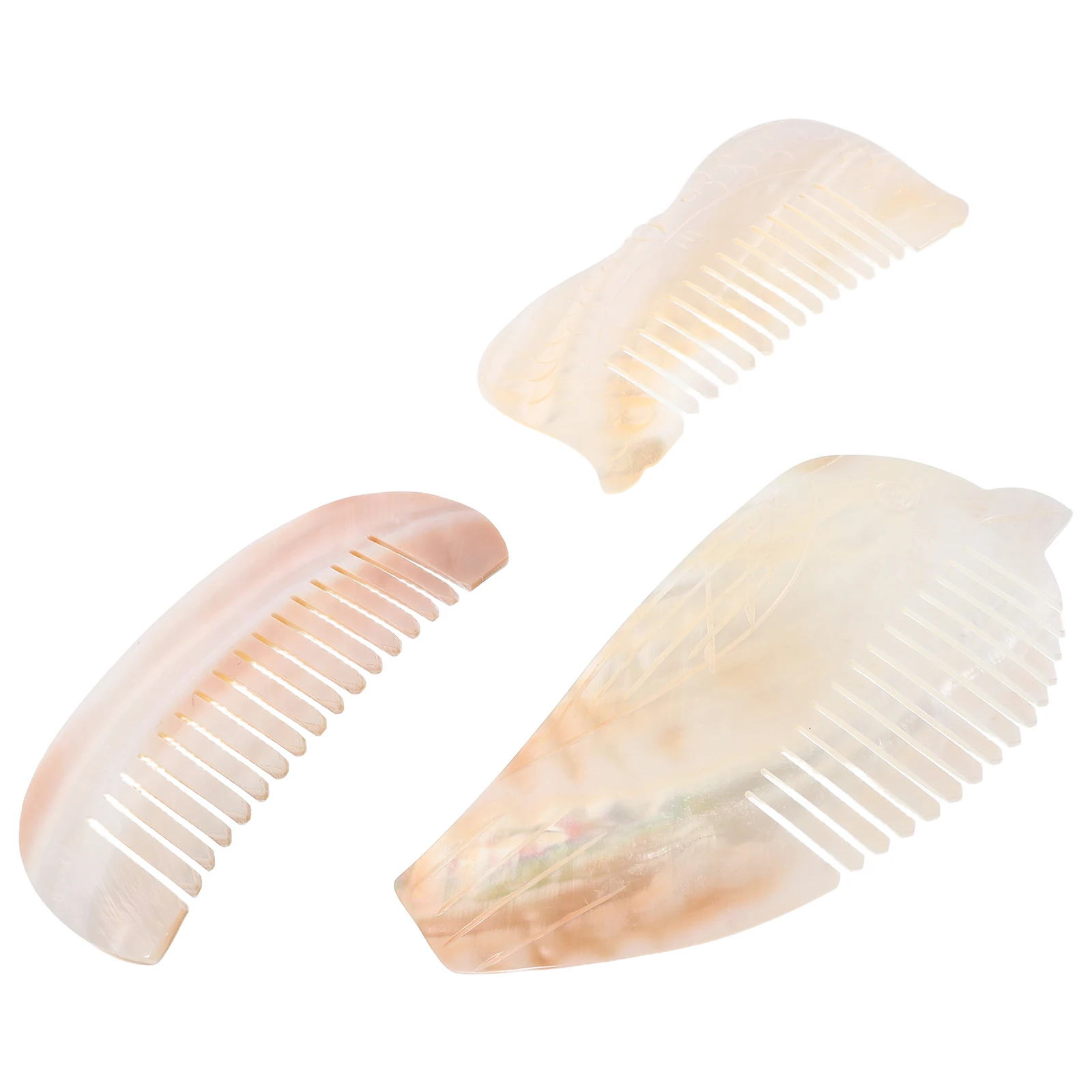 

3pcs Natural Shell Combs Handmade Seashell Decorative Craft For Home Wall Tabletop Ocean Theme Decoration Unique Gift Nautical