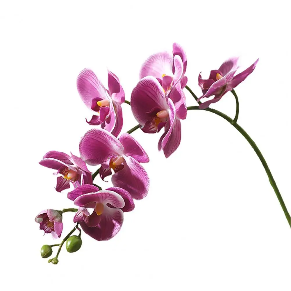 Simulation Flower Realistic Looking Anti-fade Plastic Artificial Phalaenopsis Flower Wedding Party Prop for Home