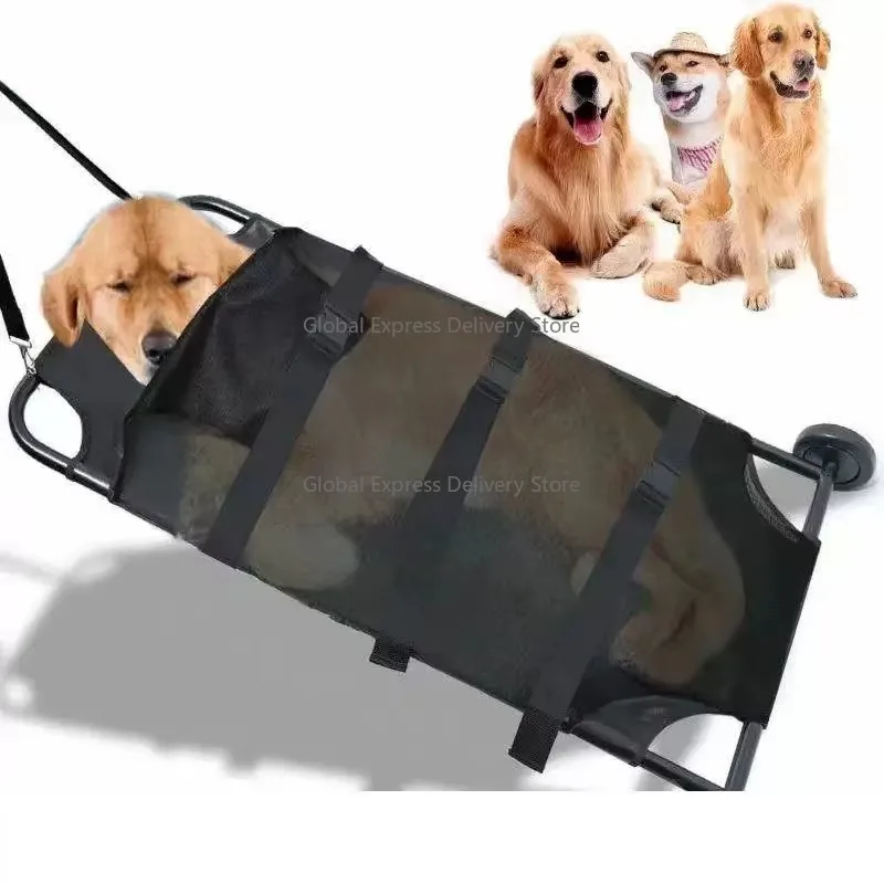 

Instrument Pet Clinic Transport Trolley Dog Stretcher for Animal Hospital Transport Needs