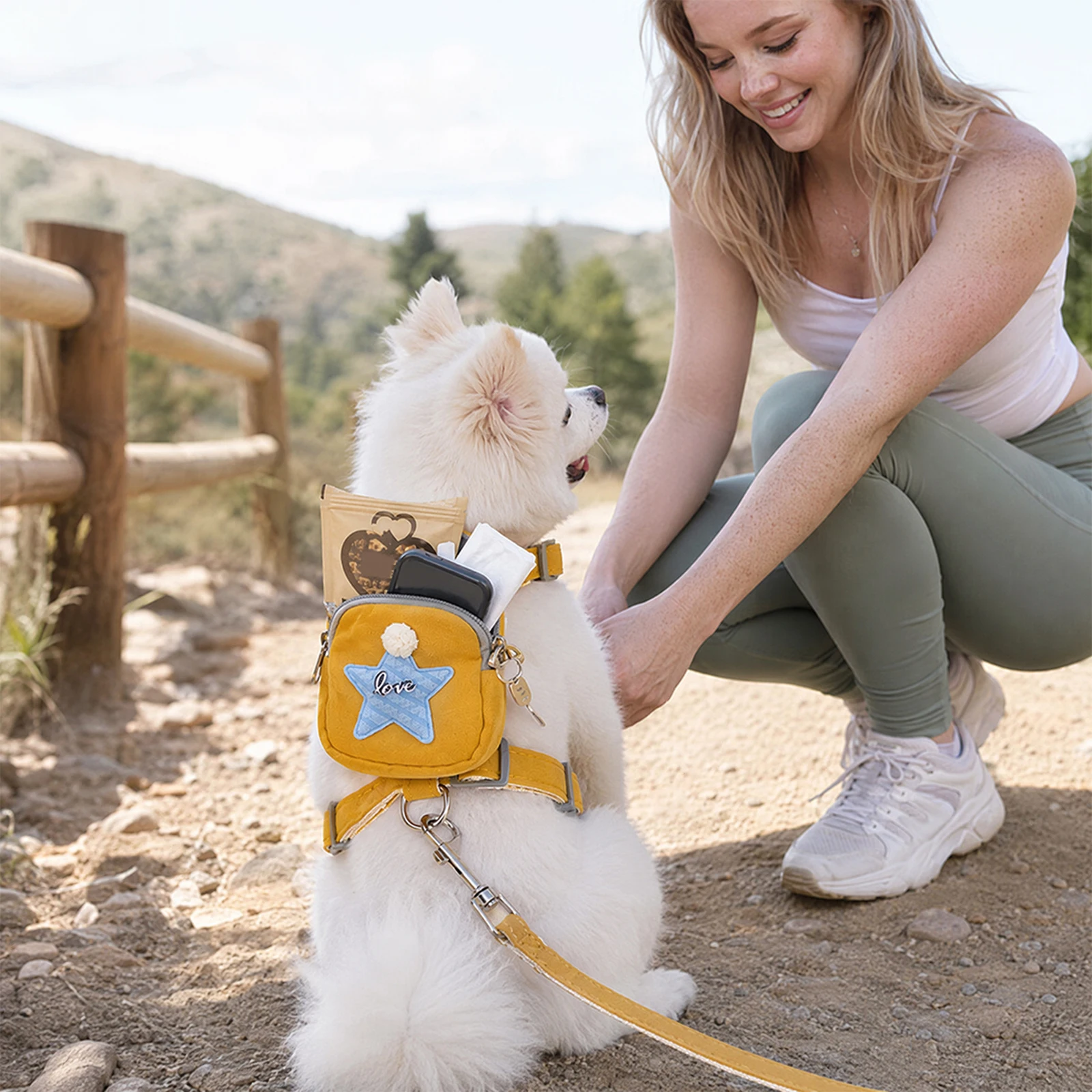 Arnês para Cães com Mochila De - No Pull Dog Harness avaliação e preço