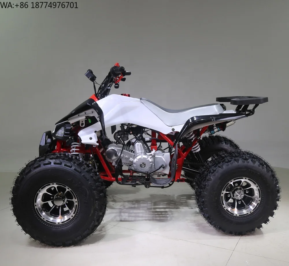 Tao Motor Eagle 125 Chain Drive Automatic Four-wheeler Motor Bike for Kids 11 Year Old 125cc 36V Electric Start Atv 125cc 110cc