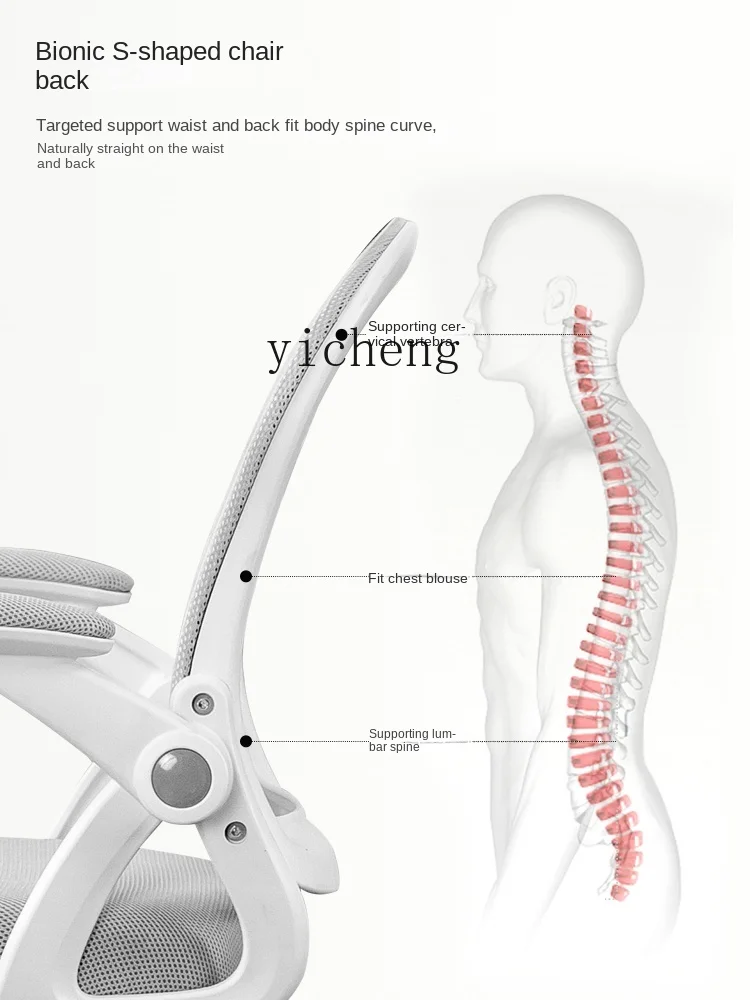XL Long-Sitting Desk Chair Youth Student Learning Writing Chair Lifting Office Chair Seat
