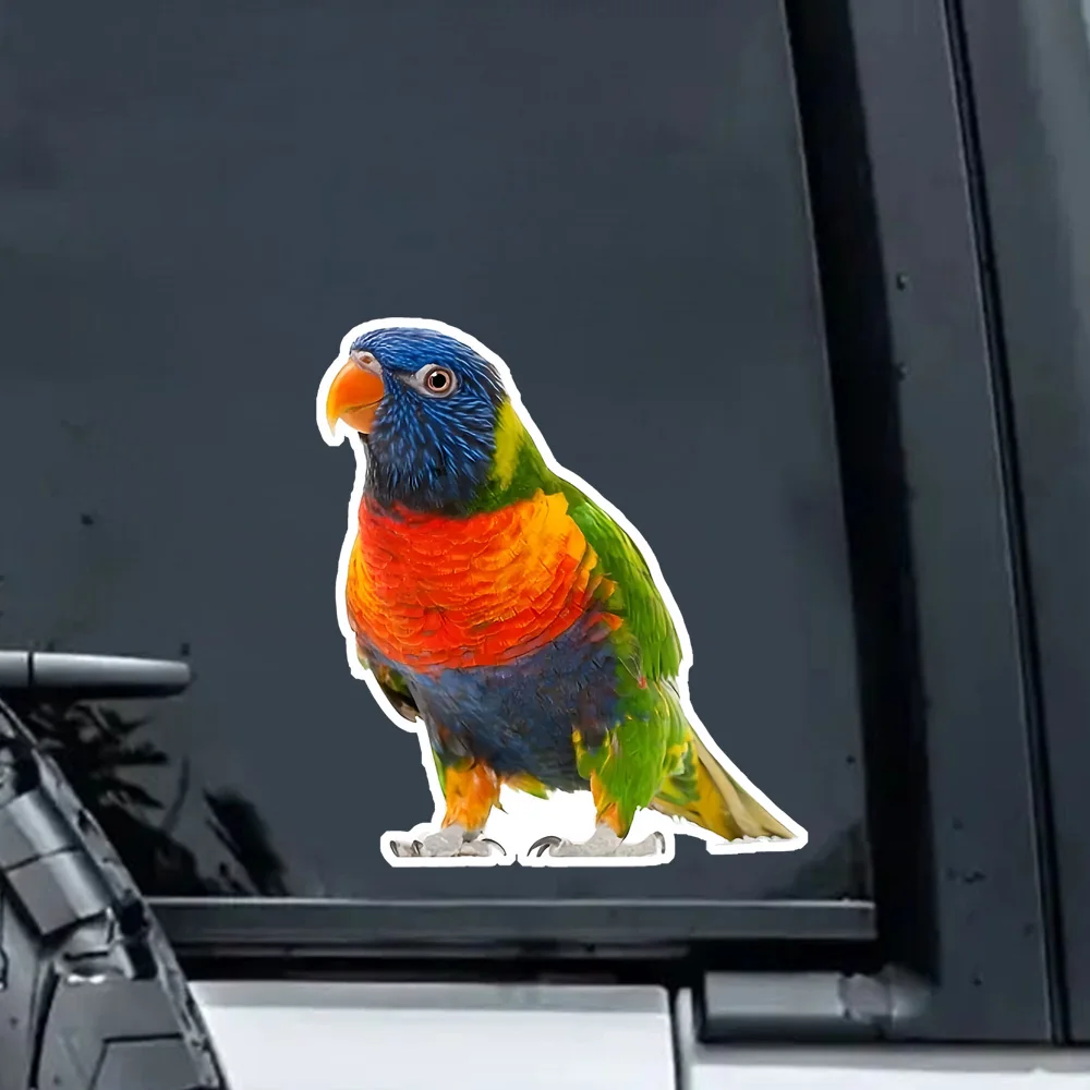 Colorful Parrot Vinyl Decal, 12x13cm  Durable PVC Material Sticker for Car Scratch Cover, Helmet, Window Glass, Furniture Doors