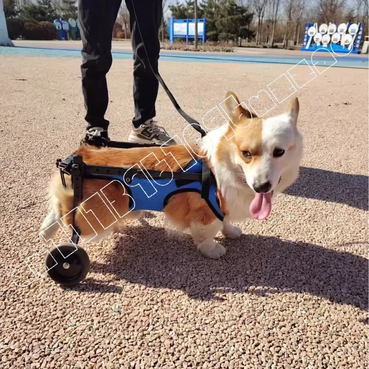 

Dog Wheelchair Hind Limb Paralysis Pet Scooter Disabled Dog Hind Leg Assist Cat Teddy Large Small Dog Bracket