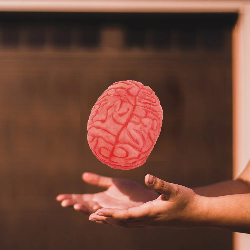 3 pezzi di oggetti di scena per il cervello simulato, decorazioni per il cervello, decorazioni per il desktop finti, accessori decorativi per feste in vinile umano, forniture da tavolo per Halloween
