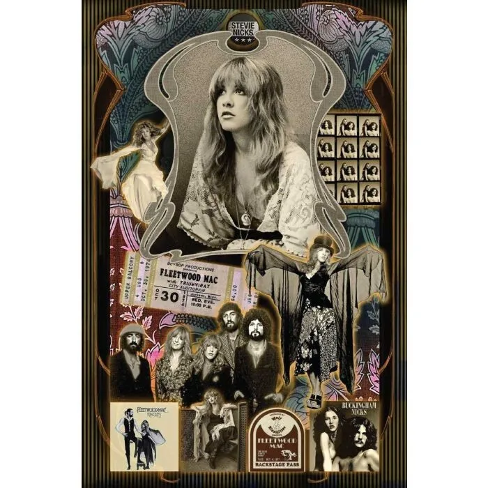 FLEETWOOD MAC STEVIE NICKS COLLAGE Art SILK POSTER Wall Art Home Decorative painting