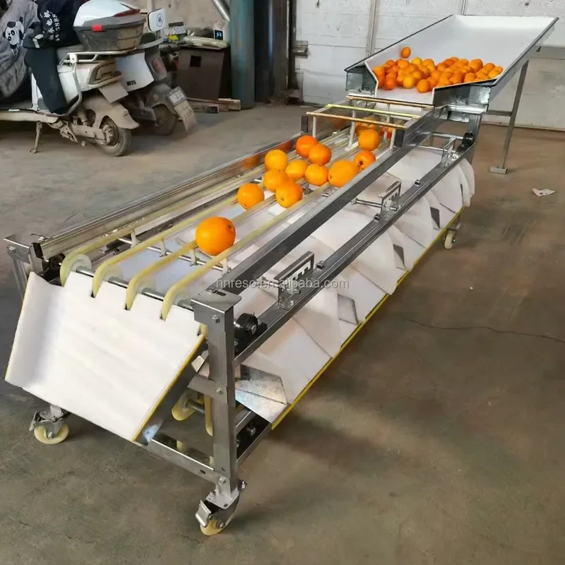 Best Quality Orange Lychee Sorting Machine Bamboo Shrimp Dates Dry Cherry Tomatoes Grader