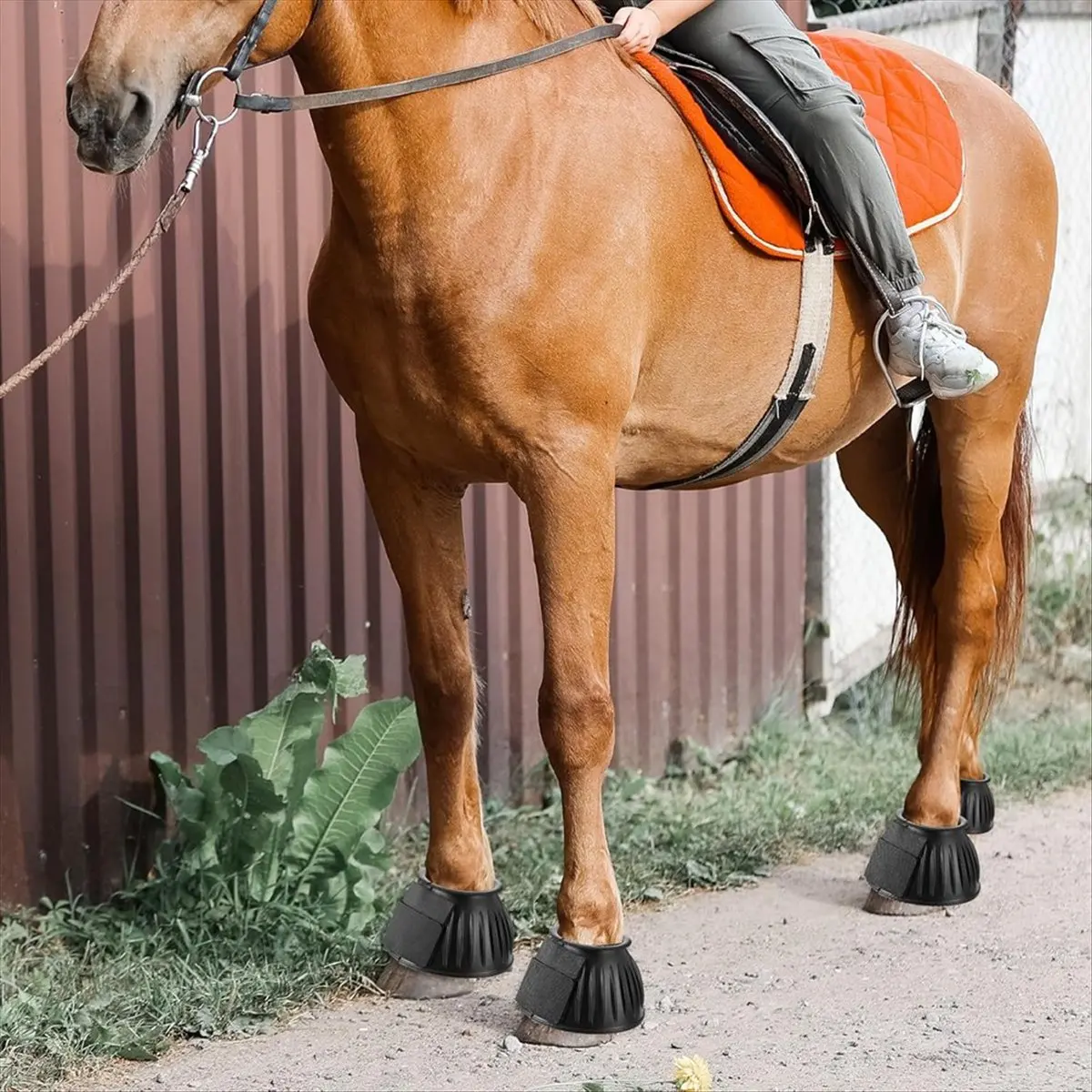 NOCM Horse Bell Boots Protect, Double Lock Horse Care Boots,Rubber Horse Boot No-Rub Bell Boots for Horses Quick Wrap Hook L