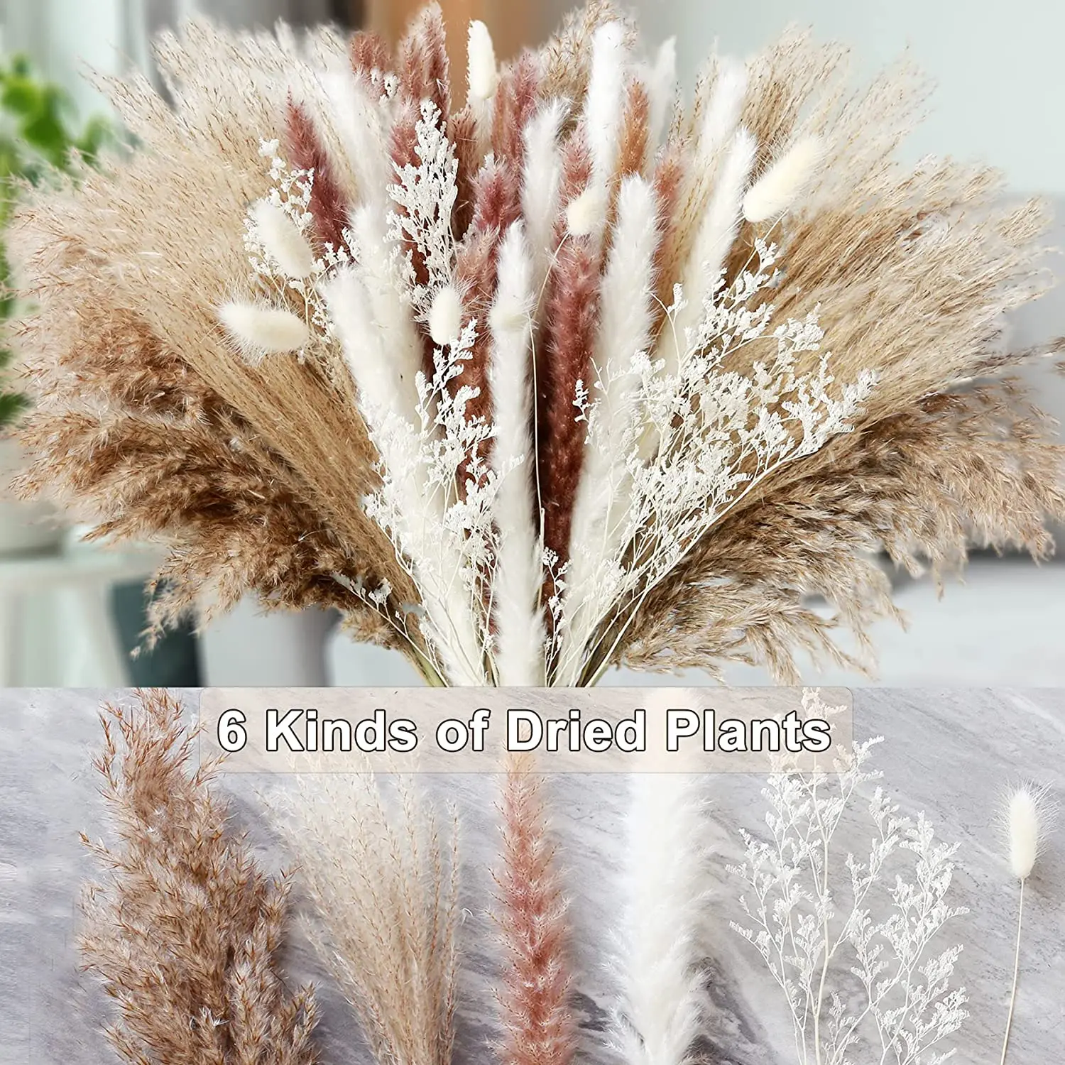 Ramo de hierba de Pampa seca Natural, 80 piezas, flores secas Phragmites, ramo bohemio para decoración de boda y Ramadán