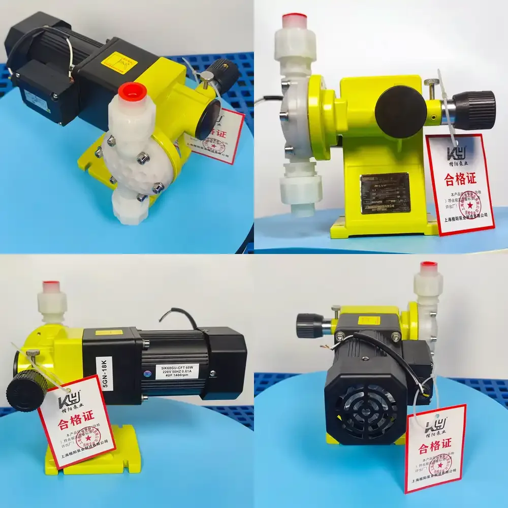 

for Gold seller 100LPH 5Bar chemical diaphragm dosing pump PVDF liquid metering pump reciprocating mechanical dosing pump for