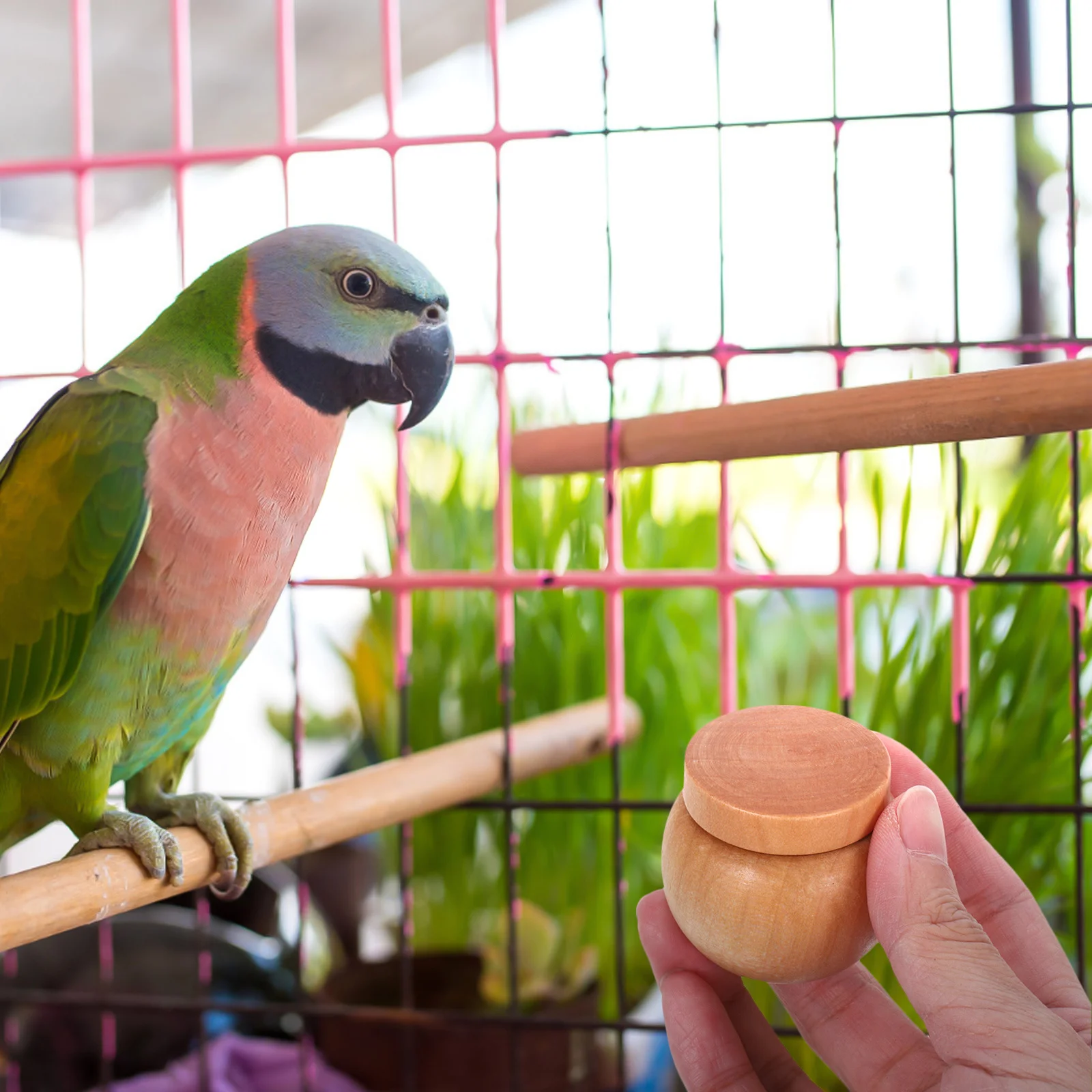 Obrázek kategorie: Ptačí trénink