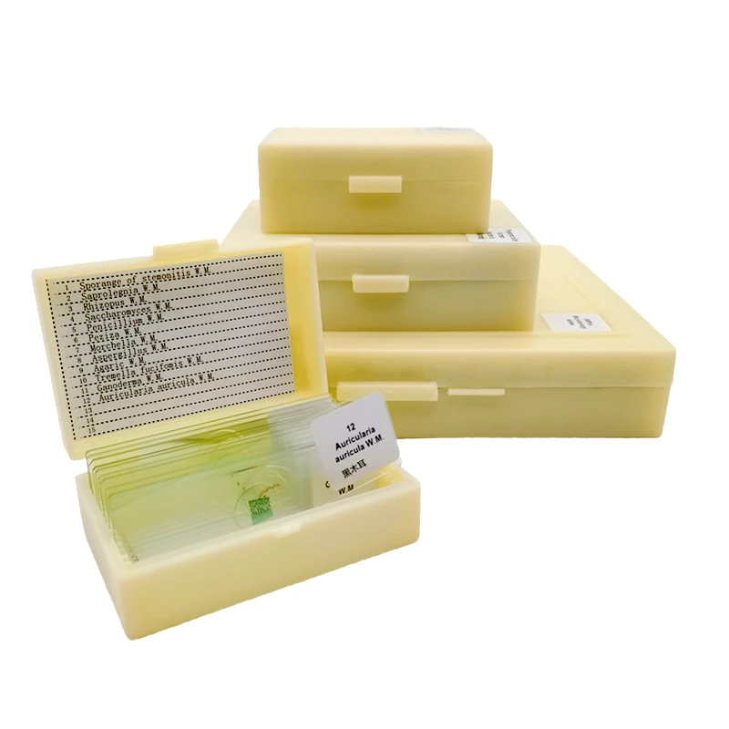 12Pcs Teaching Fungi Prepared Microscope Slides