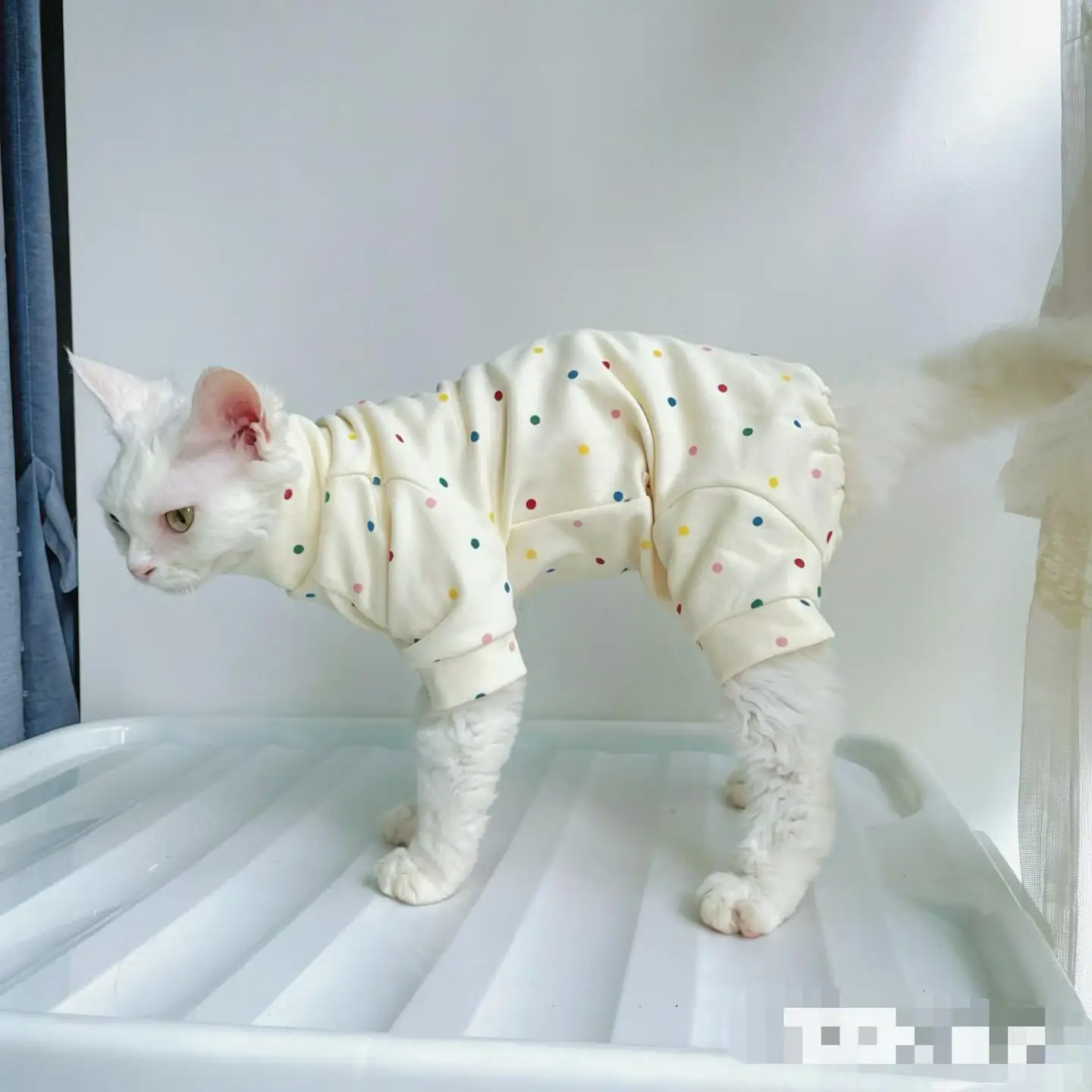 Weicher Baumwoll-Overall für Sphynx-Katzen im Frühling und Herbst, warmer Vierbeiner-Anzug für haarlose Katzen, süßer rosa Schlafanzug für Devon Rex. – Detail 5