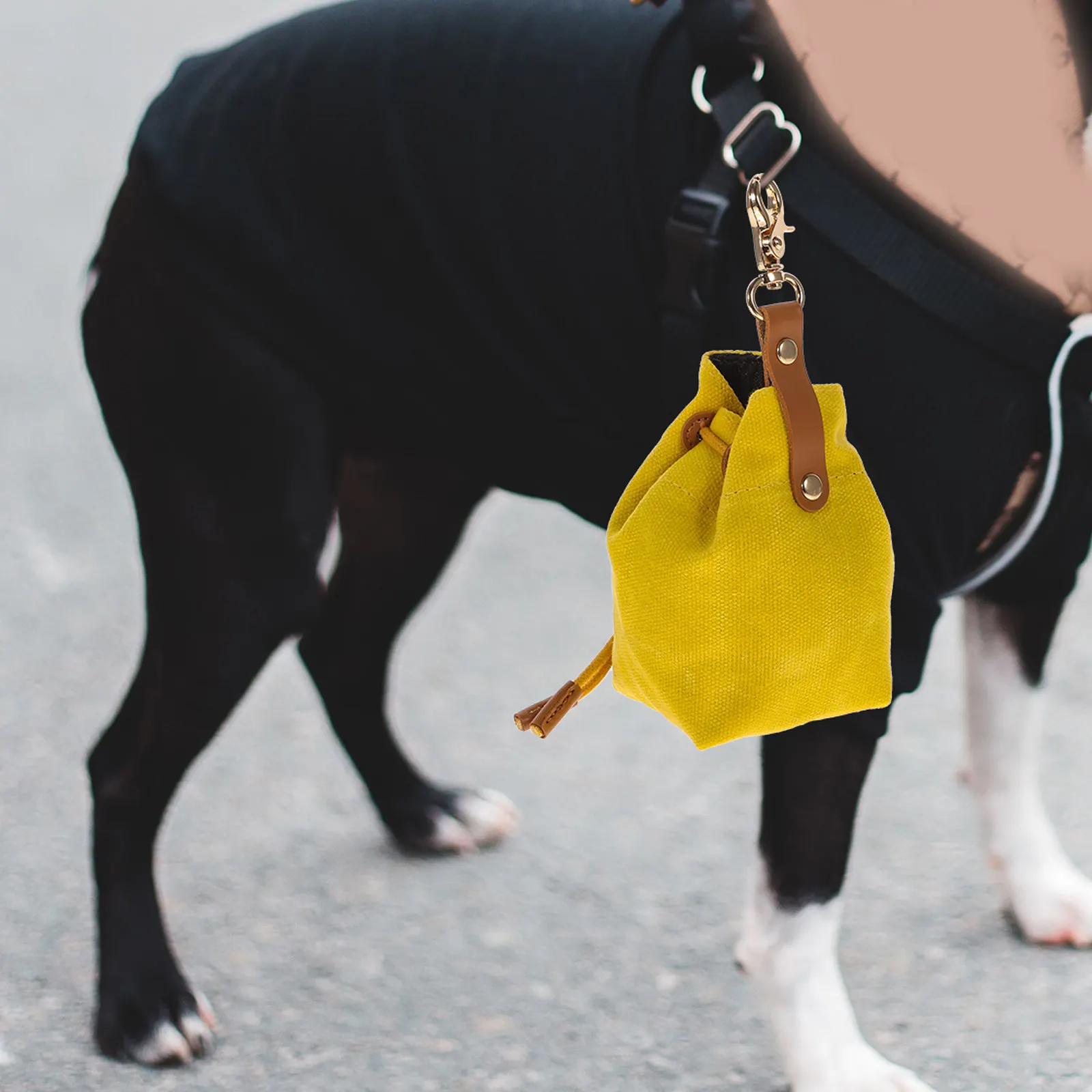 

1 шт. Сумка для лакомств для дрессировки животных, высококачественная водонепроницаемая войлочная сумка для собак, для прогулок, бега, походов, наградная сумка-переноска для собак