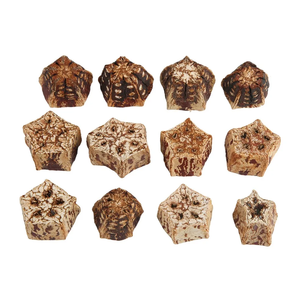 60pcs Pure Mahogany Bird Chewing Blocks Sliced Pods Craft Five Pointed Star Shape Parrot Chewing Decorative Design