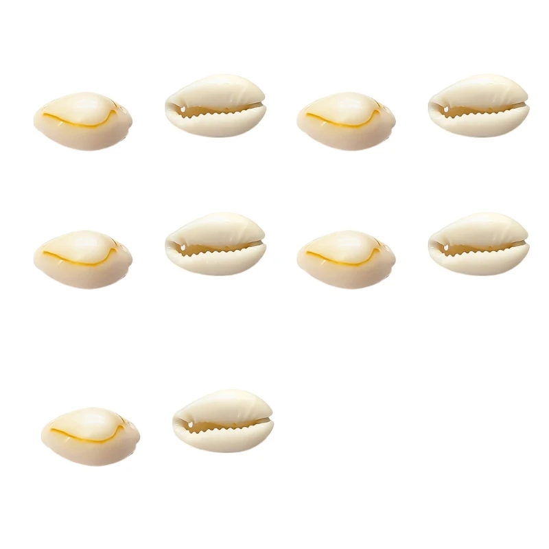 652f 10pcs Natural Conch Shell Cloton