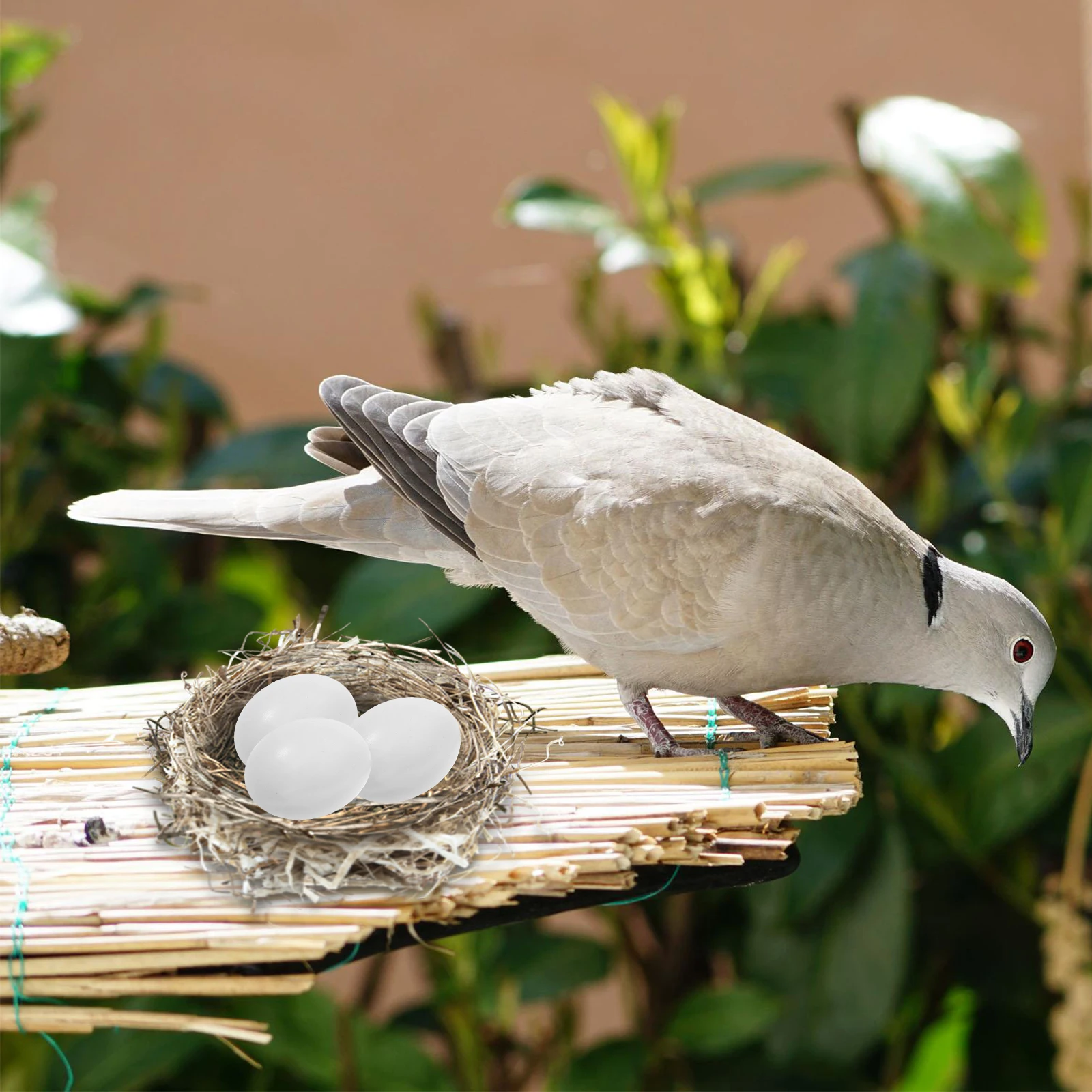

20 Pcs Filled Eggs Prop Pigeon Breeding Simulation Fake Decorative Poultry Artificial