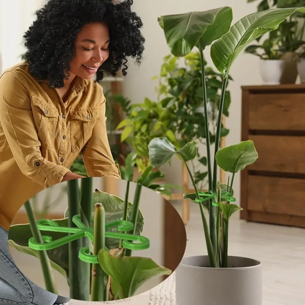 Flower Plant Stem Support Stakes Climbing Houseplant Stand Frame Plastic Garden No Stake Trellis Indoor Plant Holder Rack Hoops