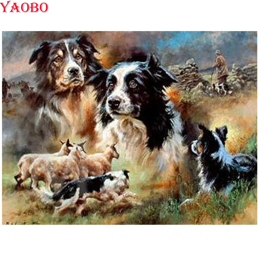 Diy kits 5d diy diamond embroidery Animal, border collie DIY Diamond Painting 3D Embroidery Cross Stitch Mosaic Decor paintings