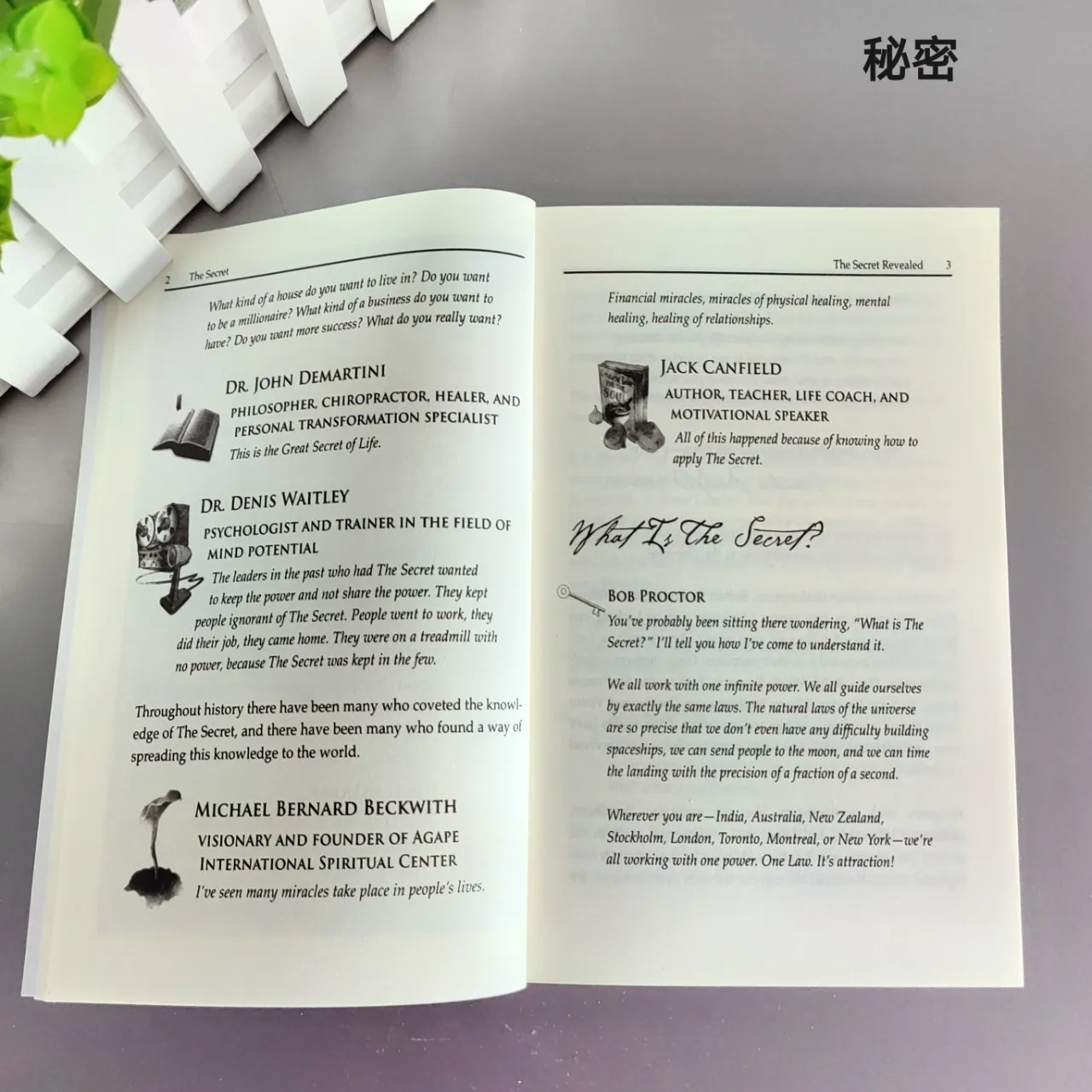 Книга «Секрет» Ронды Бирна в мягкой обложке