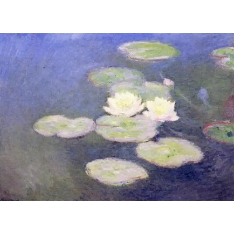 متحف مونيه مونيه تشينغوان شي 9784861522666 كتاب