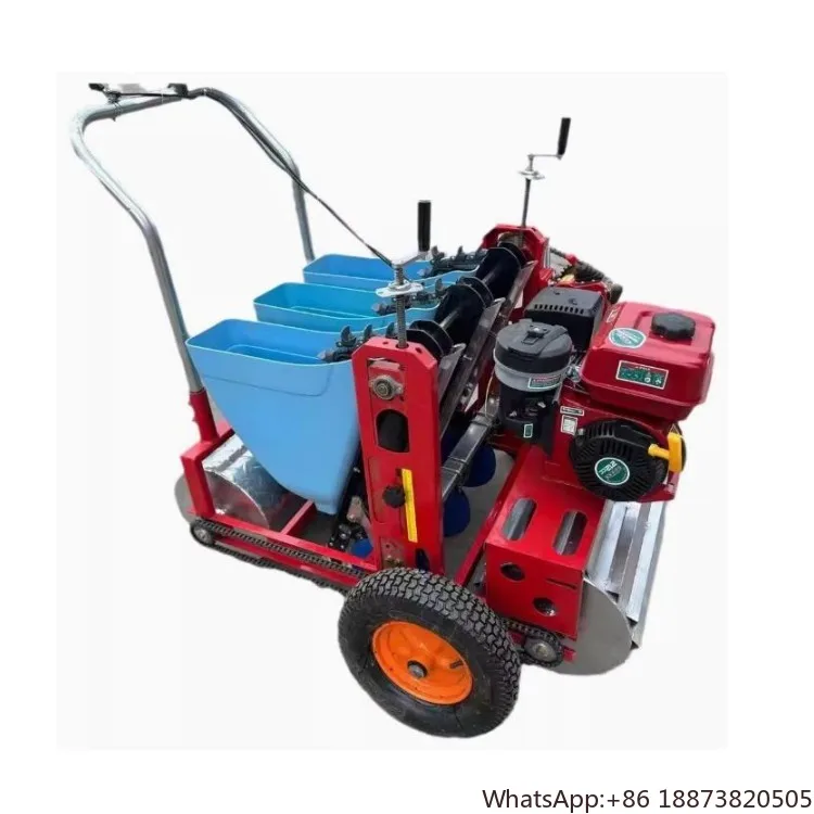 Manufacturers 3-Row Automatic Garlic Planting Seeder Machine farming machinery agricultural