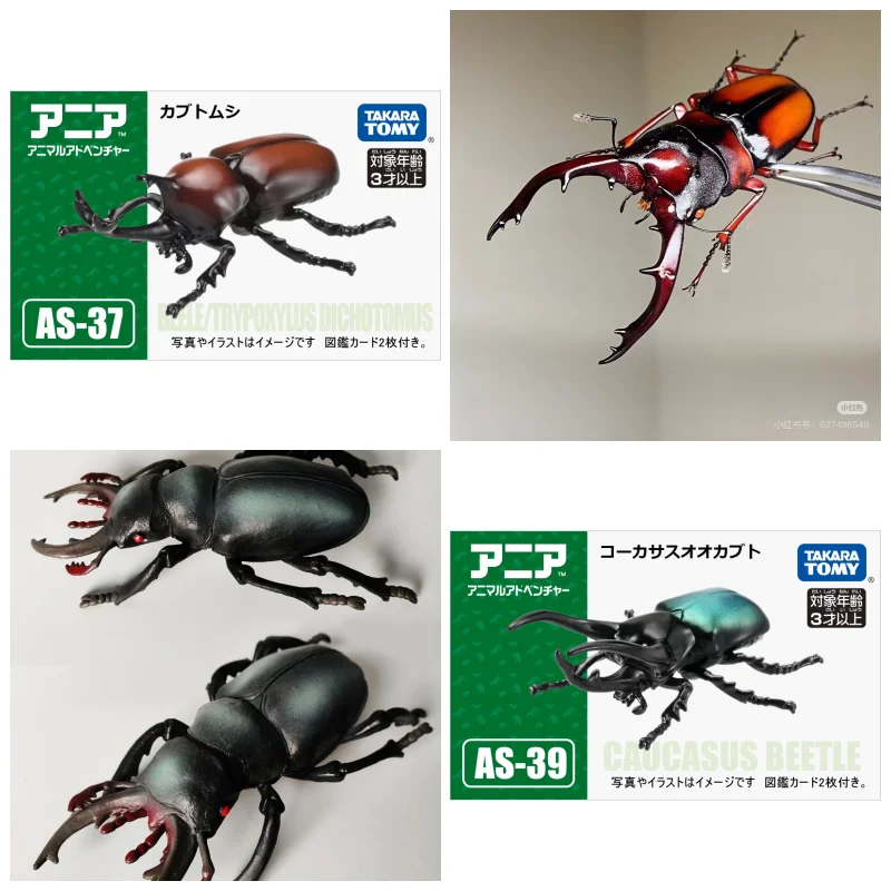 

TOMY Wild Animals Toy Model Plastic Simulated Lion Giraffe Tiger Giraffe Panda Realistic Toys For Children Christmas Gifts