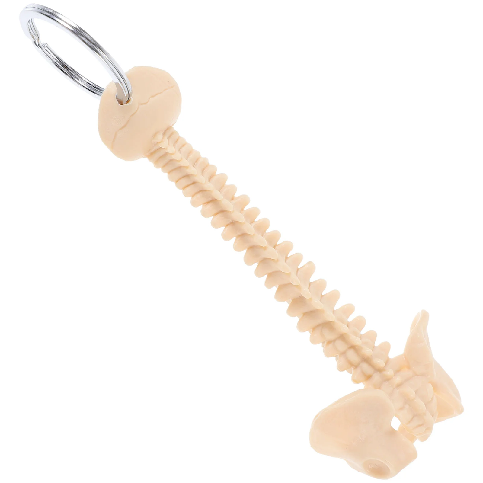 Mannequins Human Spine Model Car Keychain Keyring Puzzle Ornament Pendant Plastic Beige Child