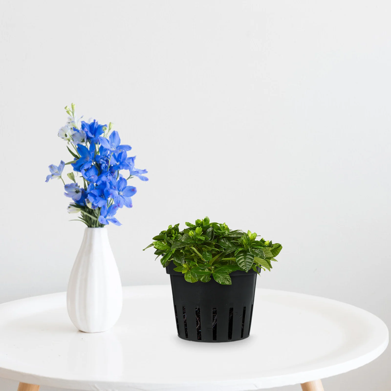 

8Pcs Hanging Wall Plant Holders Plastic Flower Pots Balcony Indoor Outdoor Succulent Planters Wall Mounted Flowerpot Holders