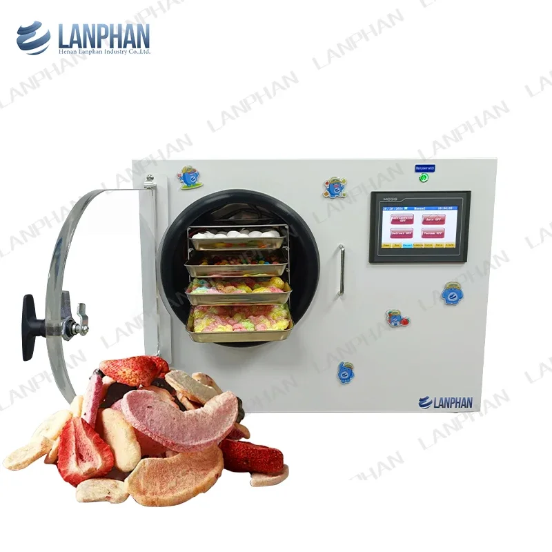 Laboratory Bench Top Small Vacuum Dryer Machine For Home