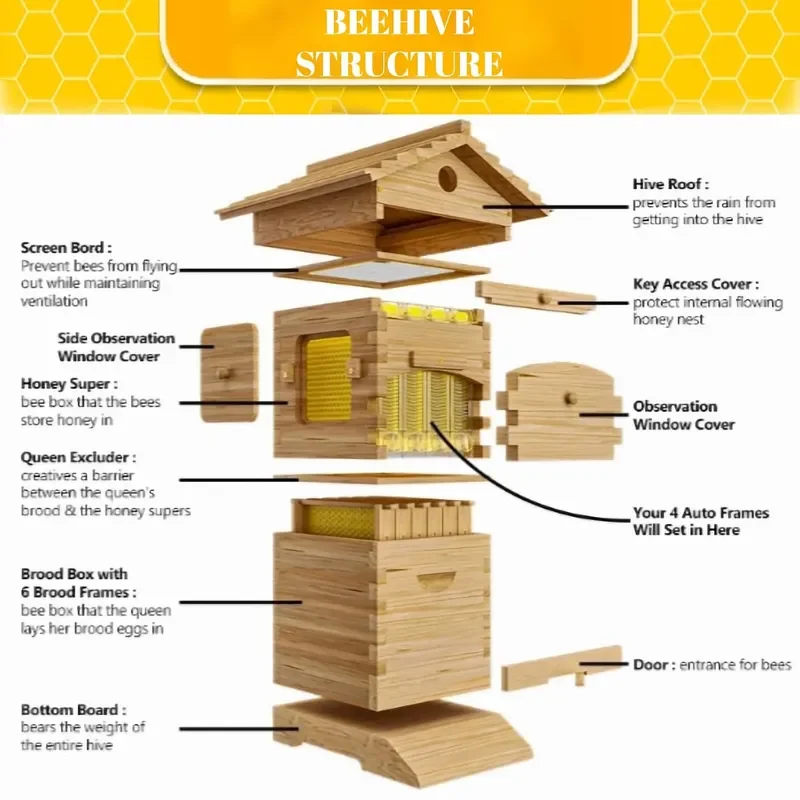 Hive Starter Kit Automatic Beehive Box Set for Easy Beekeeping Complete Bee Hive Boxes for Beginners