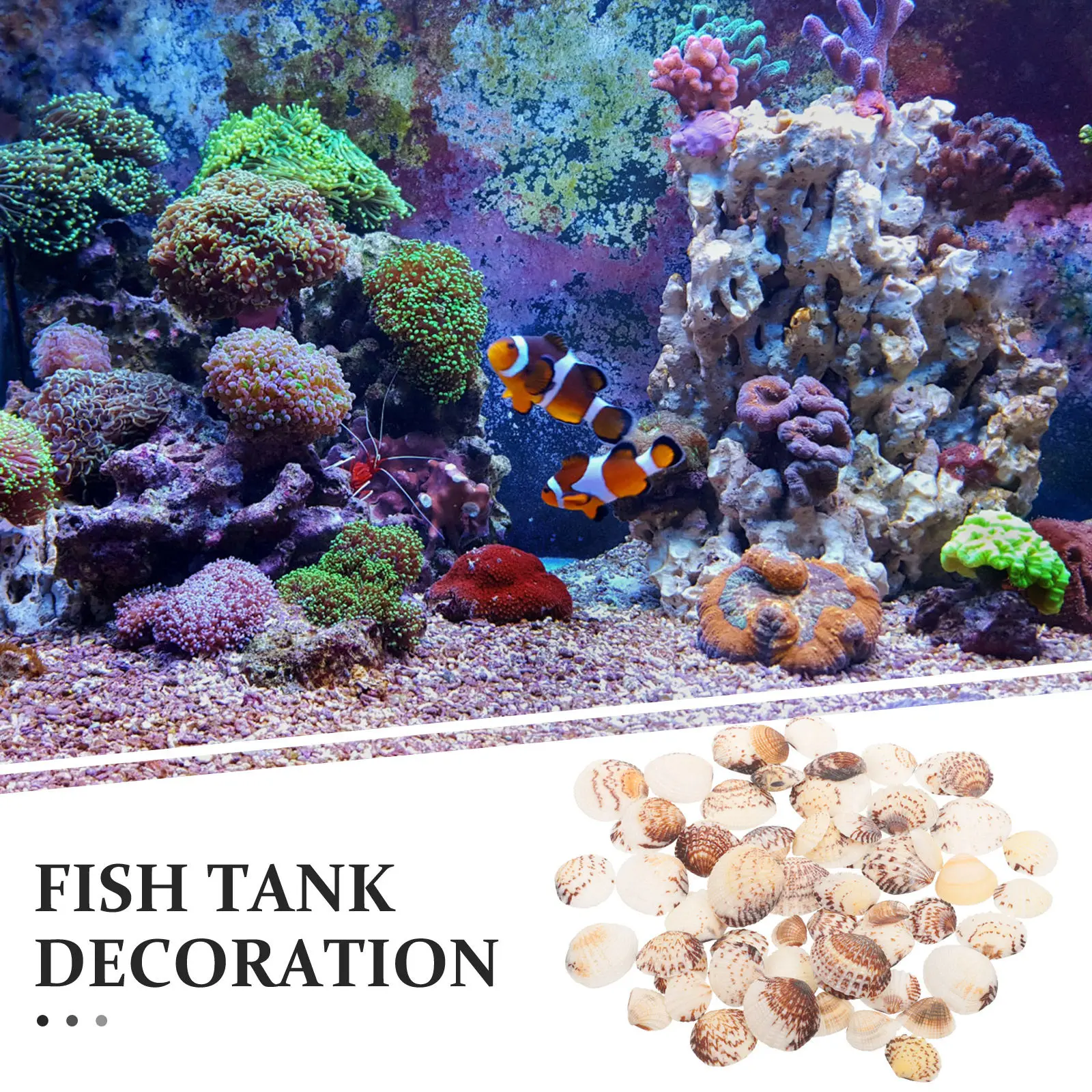 Small Sea Shells Natural Clam Shell Decoration Perfect for Fish Tank Vase Filler DIY Crafts Handicraft Supplies Aquarium Decor