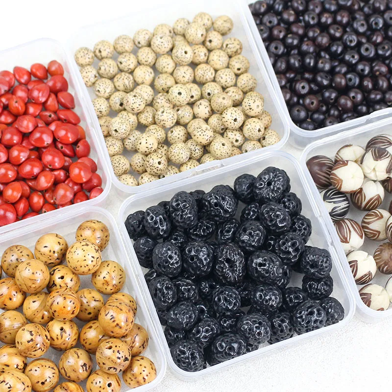 1pack Various Natural Bodhi Seeds Irregular Beads Handicraft Bracelets Necklace Planet Beads DIY Jewelry Accessories Women Men view 5