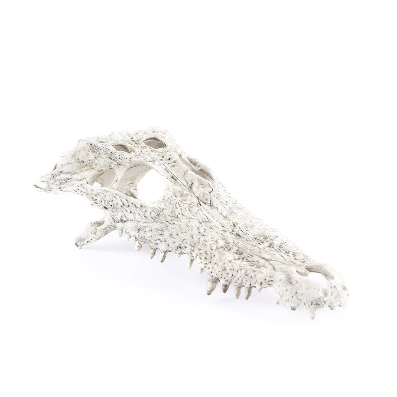 Aquarium decorations, aquatic plants for landscaping, dinosaur and crocodile , sheep , resin skulls, pet accessories