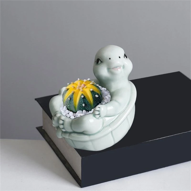 Turtles Plante Pot Flowerpot Pots Animal Jardin Pots Céramic Succulents Pots Planter Plant Plante pour le bureau à domicile