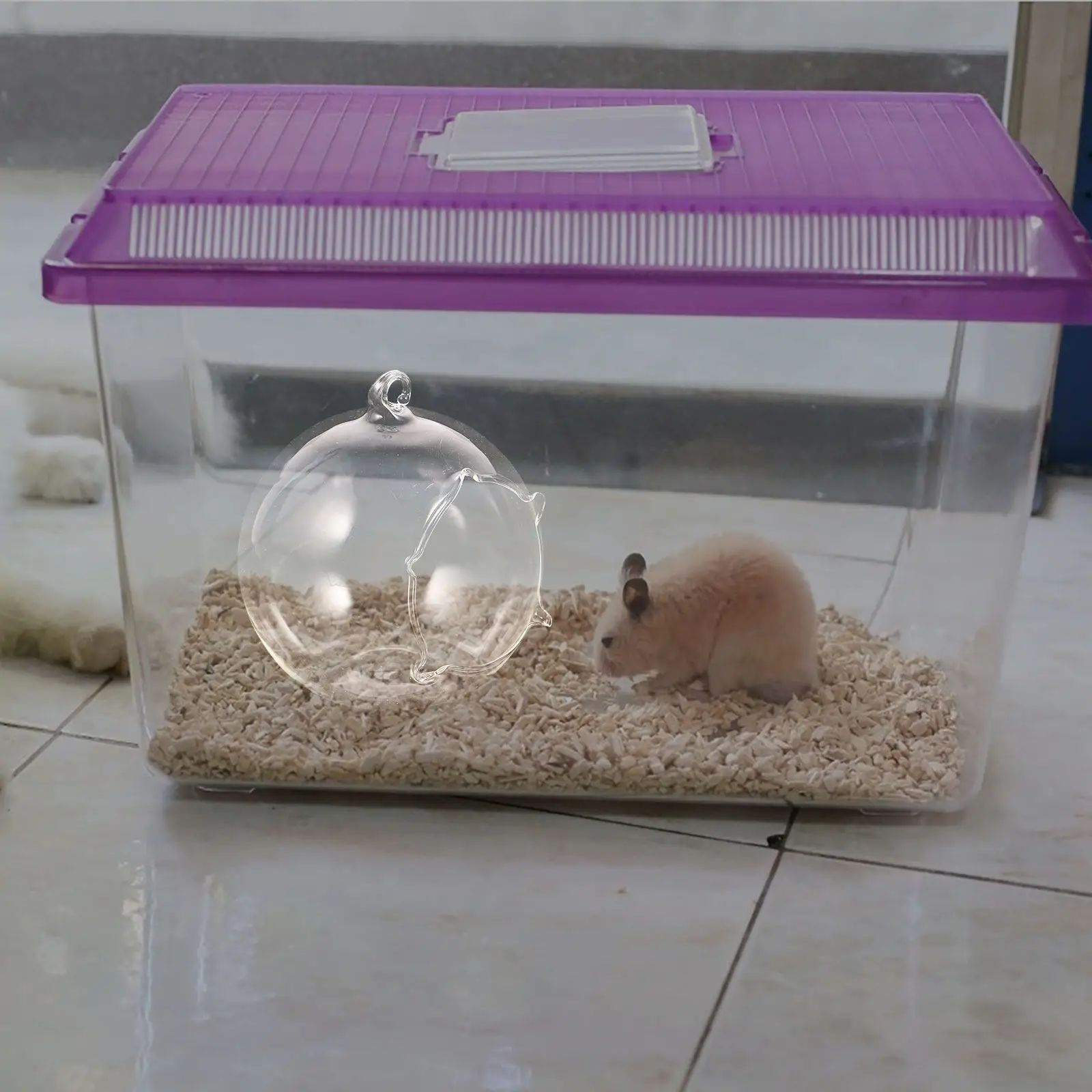 Nid de hamster en verre transparent en forme de boule pour le refroidissement et le confort – Maison pour animaux de compagnie à surface lisse pour hamsters et cochons d'Inde