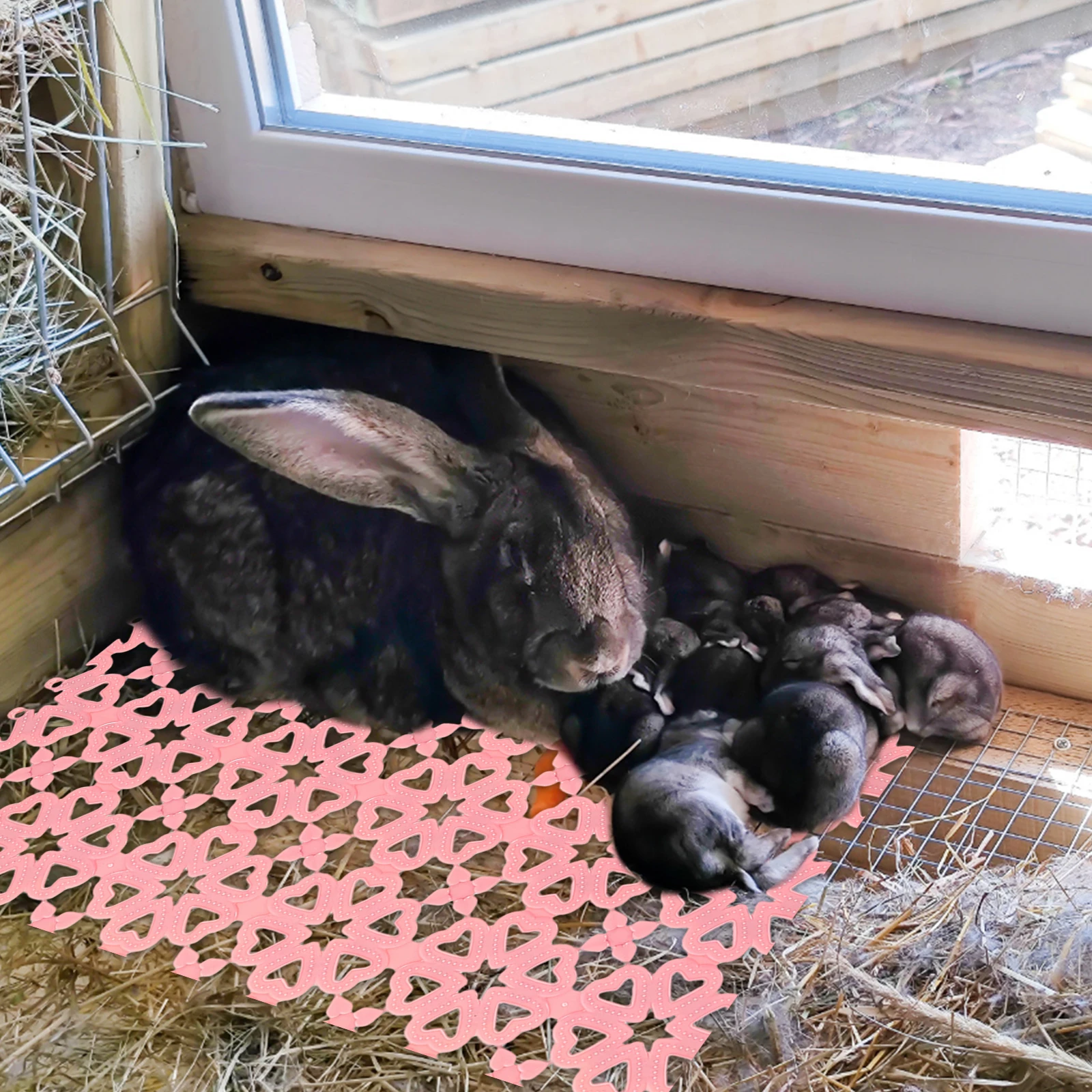 

10pcs Rabbit Cage Mat Durable Plastic Flooring Water Leak Proof Splice Design Comfortable Foot Pad For Bunny Dog Cat Cage