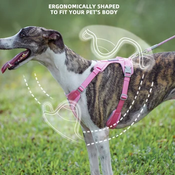 Reflective No-Pull Dog Harness 3