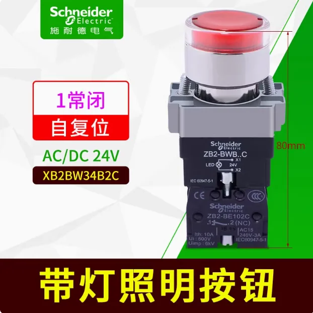 Original XB2BW Self-Resetting Button Switch with Light 24V 220V