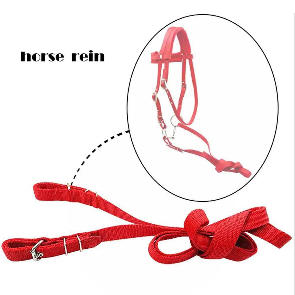 High Density Nylon Horse Bridle Rein Soft Padded Headstall for Equine Riding Accessories and Comfort