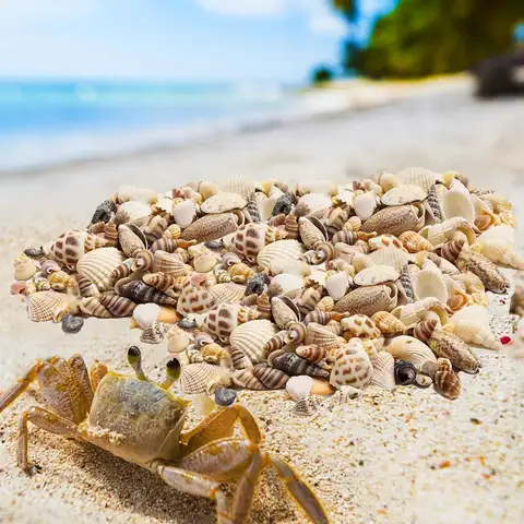 8 best sales miniatyrmåsar för hantverk - №6