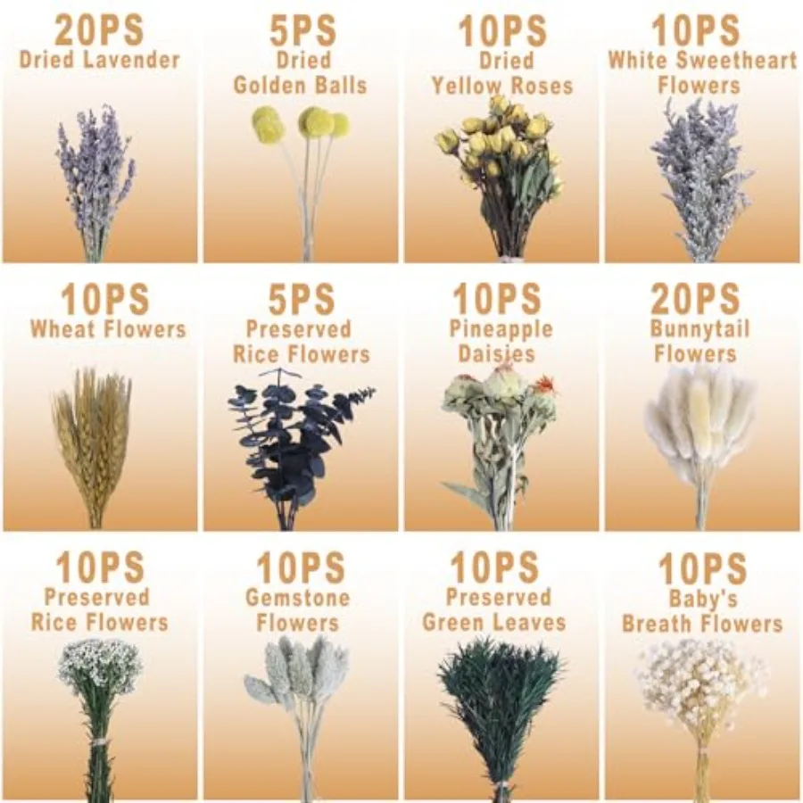 130 قطعة لتقوم بها بنفسك مجموعة الزهور المجففة الطبيعية المختلطة الزهور المحفوظة السائبة مع نفس الطفل الورود المجففة سيقان الأوكالبتوس صغيرة اليدوية