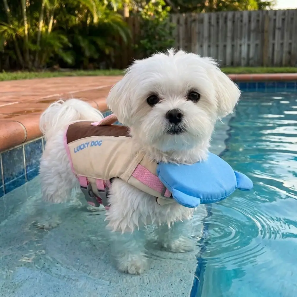 Thumbnail 4 - #85 Waterproof Dog Jackets Comparison Guide