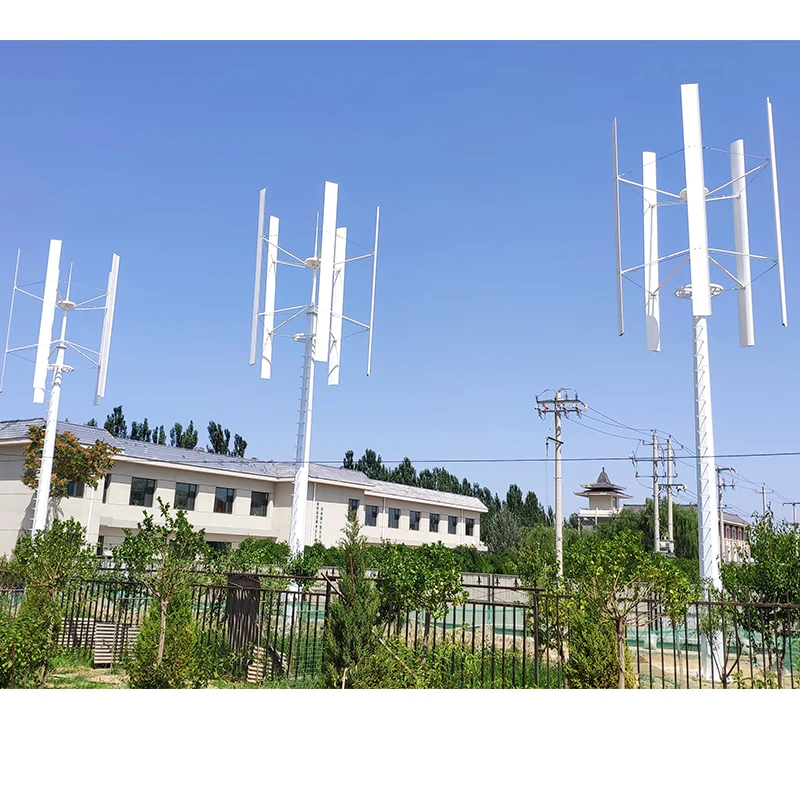 Low Noise Wind Turbine Generator for Home  800W  24V 48V Vertical with Controller  Five-Phase Permanent Magnet Generator