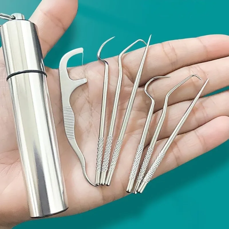 8pcs Portable Reusable Stainless Steel Toothpicks Pocket Set with Holder - Ideal for Outdoor Picnic, Camping & Traveling,Silver