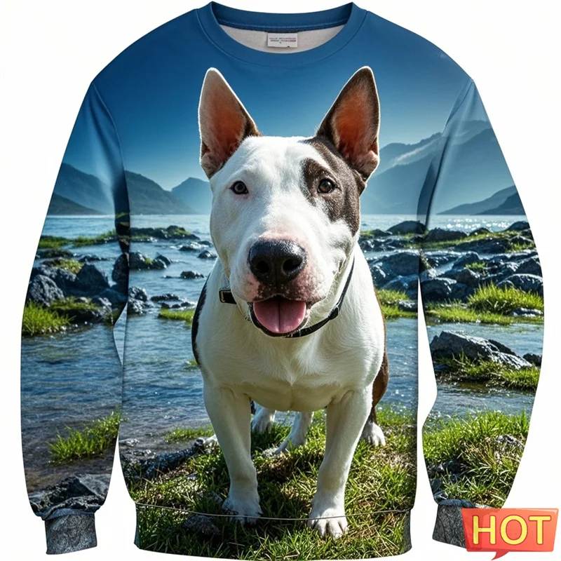 

Funny Bull Terier Graphic Sweatshirts Clothes For Men 3d Printing Bulldog Harajuku Pullover For Kid Women Hoodie Sportwear Tops