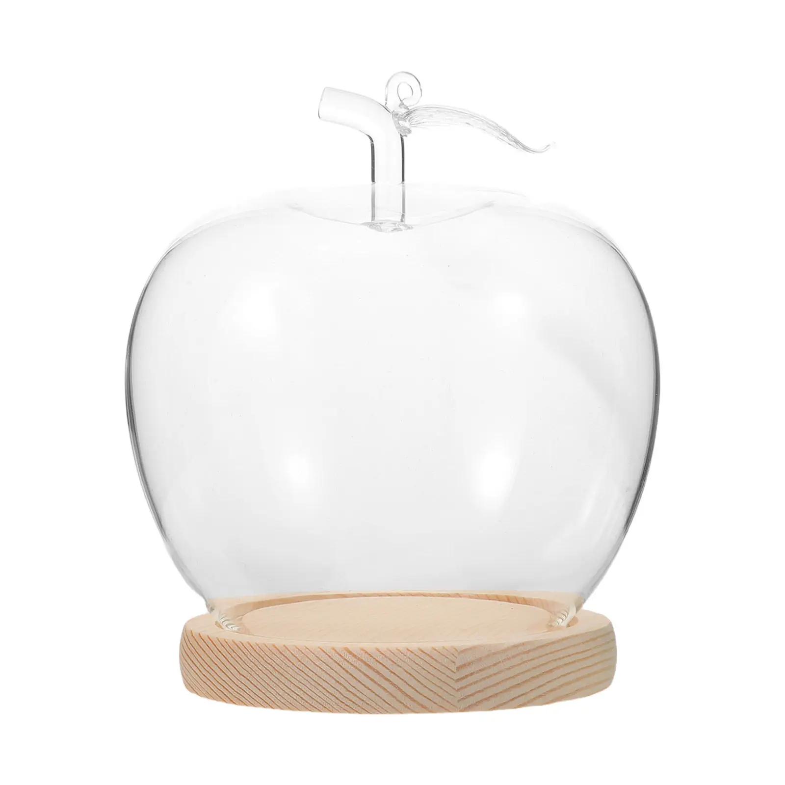 Glass Dome Cloche with Wood Base Preserved Flower Display Valentine Day Adornment Collectibles Specimens Dustproof