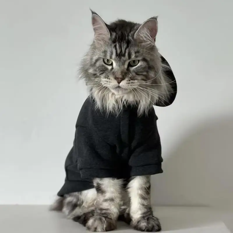 

Maine Coon Clothes Handsome Male Prevent Shedding Spring Clothes Can Be Tugged Two Months Spring PU Leather Warm Outd...