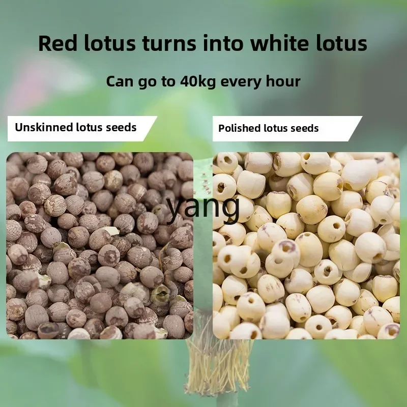 CX1  Old Lotus Seed Grinding Machine Red Lotus Seed Polishing and Whitening Machine Lotus Seed Thin Skin Removal Machine