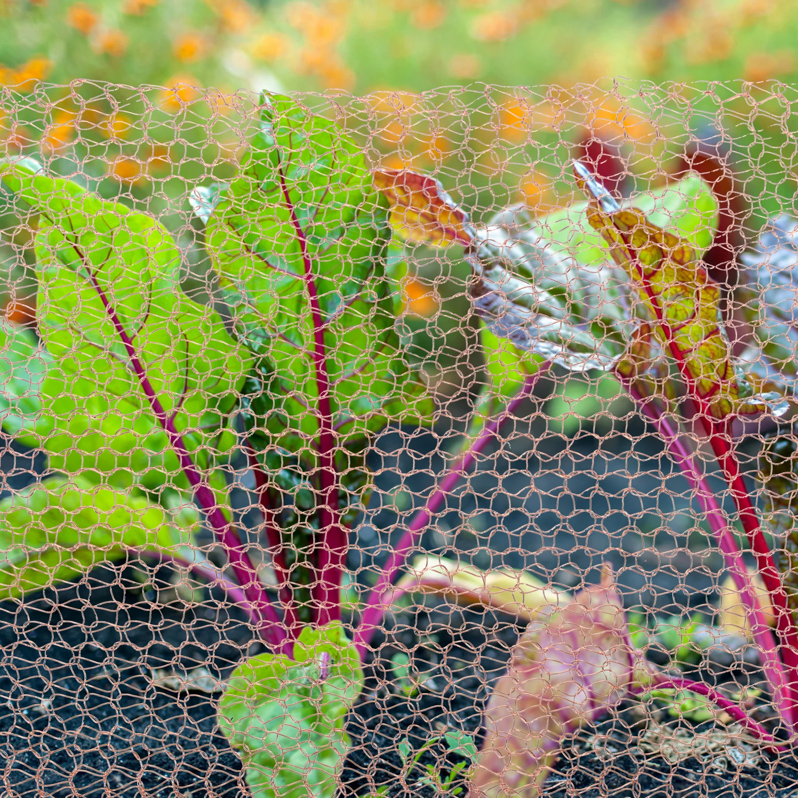 

1 рулон, 3 м, медная проволочная сетка, гибкая нержавеющая вязаная сетка для садовых улиток, пробка, фильтр-блокировщик, инструмент для домашнего сада